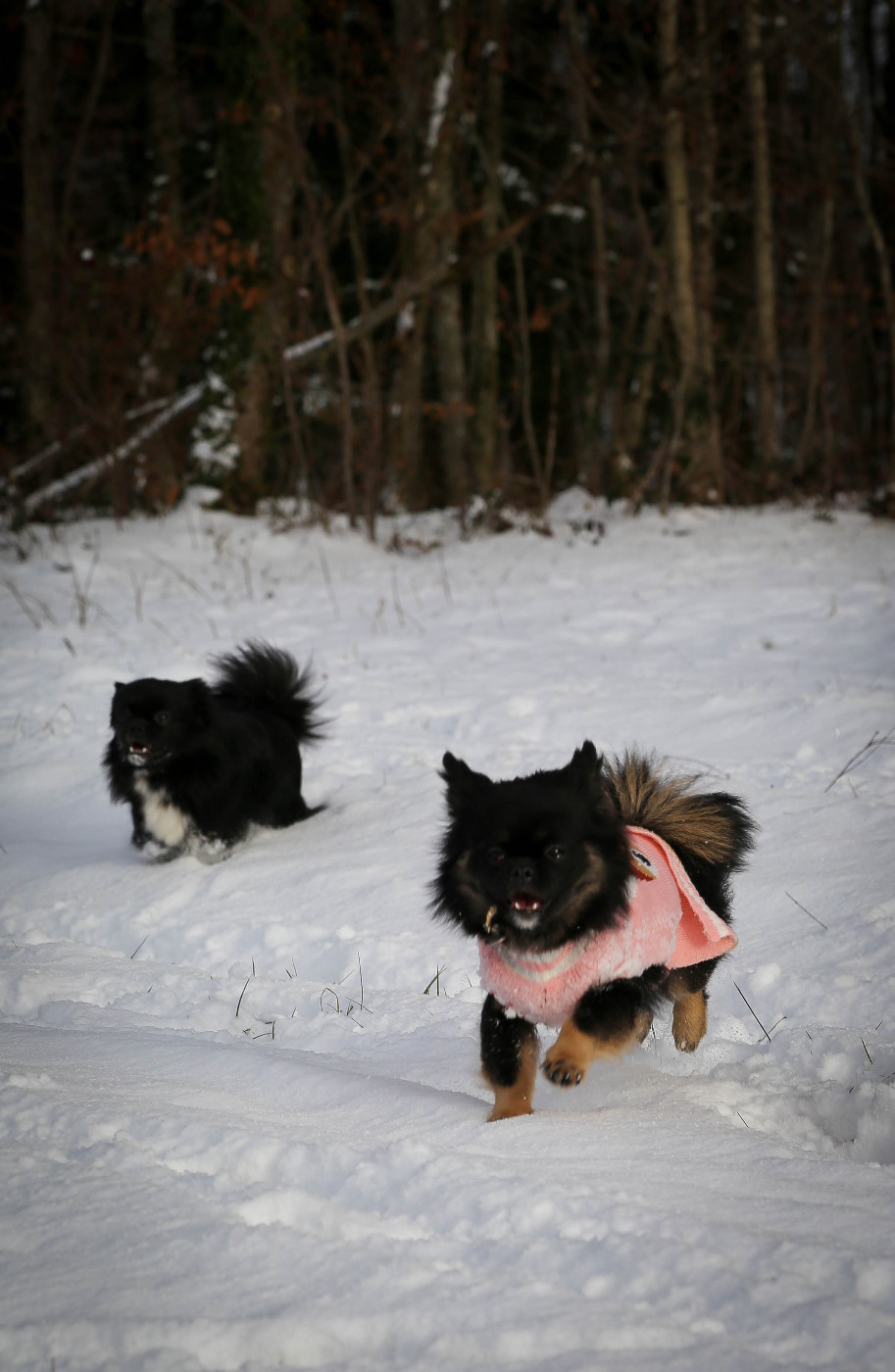 A Fleur de Toi De La Rivière D'Eden